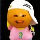 赵喜垒
