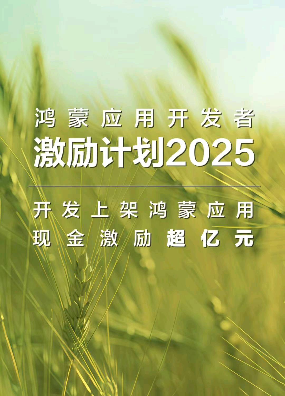 栾先生地推项目华为元服务招募地推团队