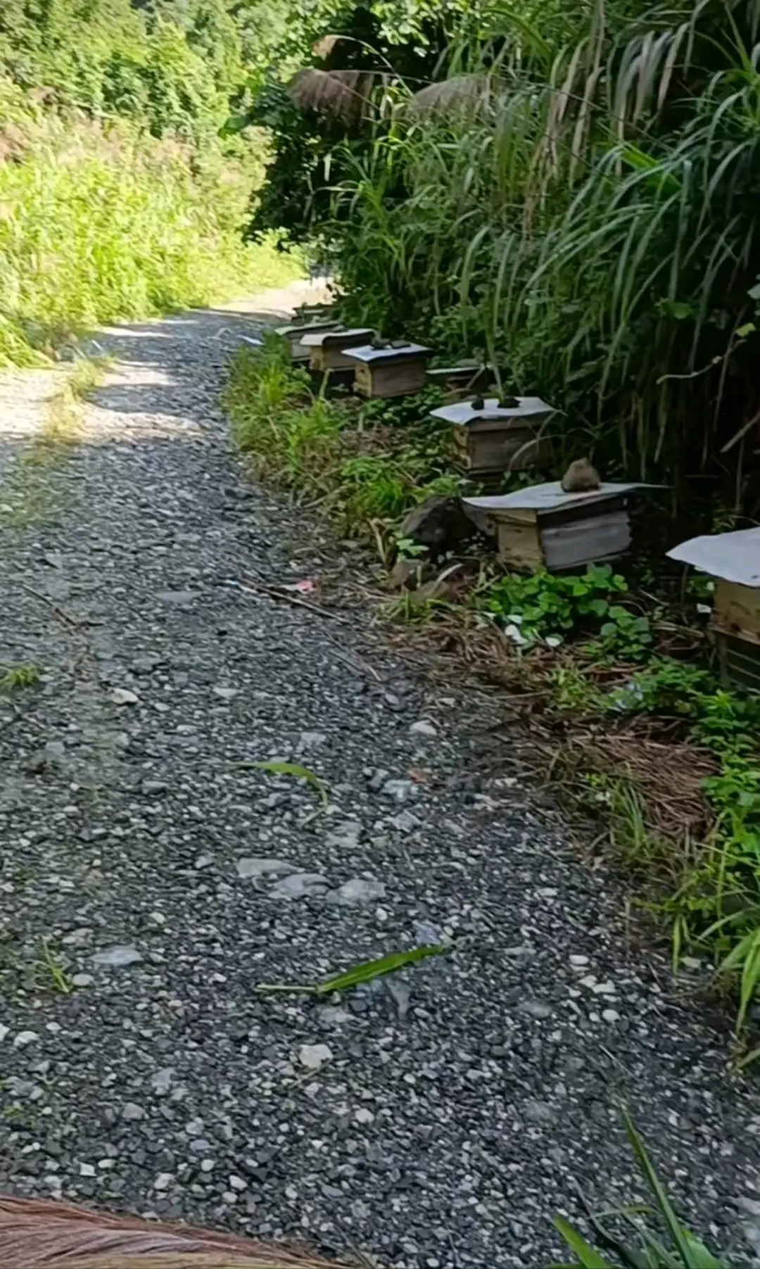 周永康品牌货源