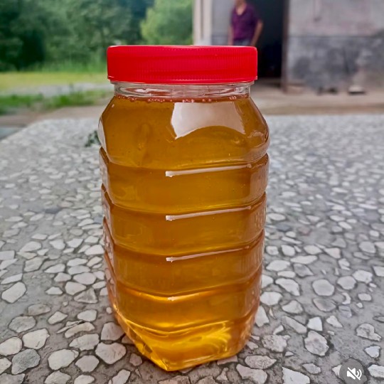 周永康
