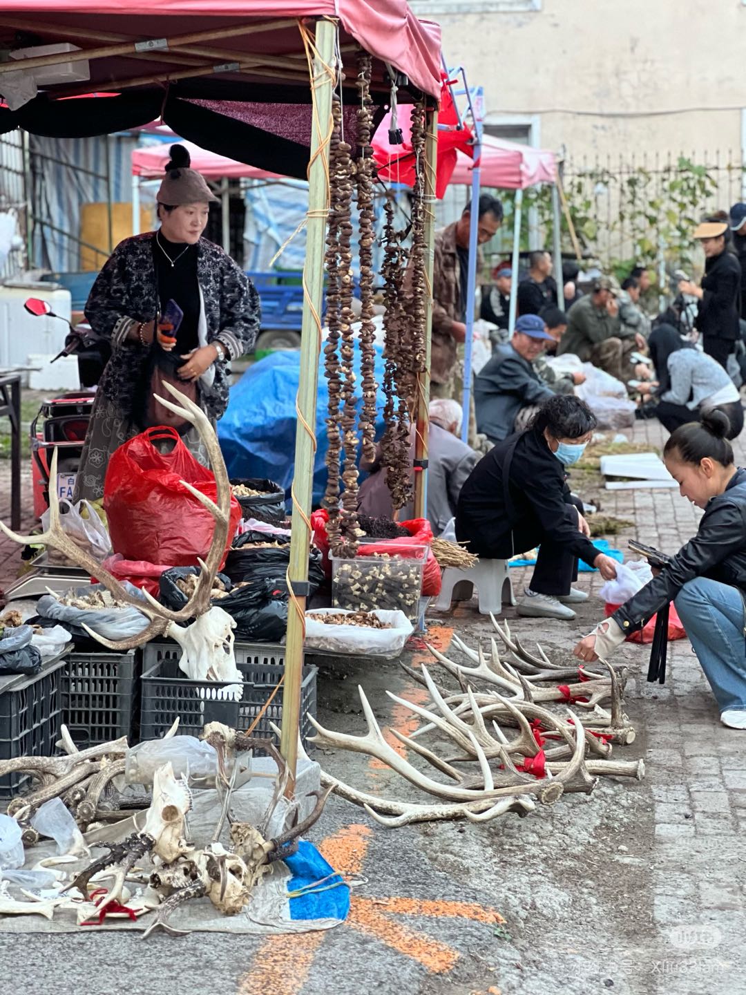 张奇德长白山溯源供应链合作，寻找私域直播团队