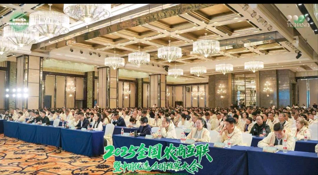 刘先生找合伙人