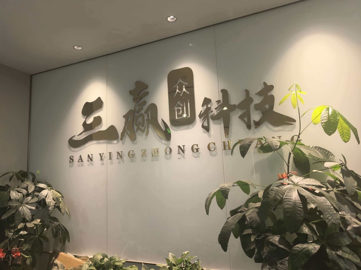 林先生找合伙人