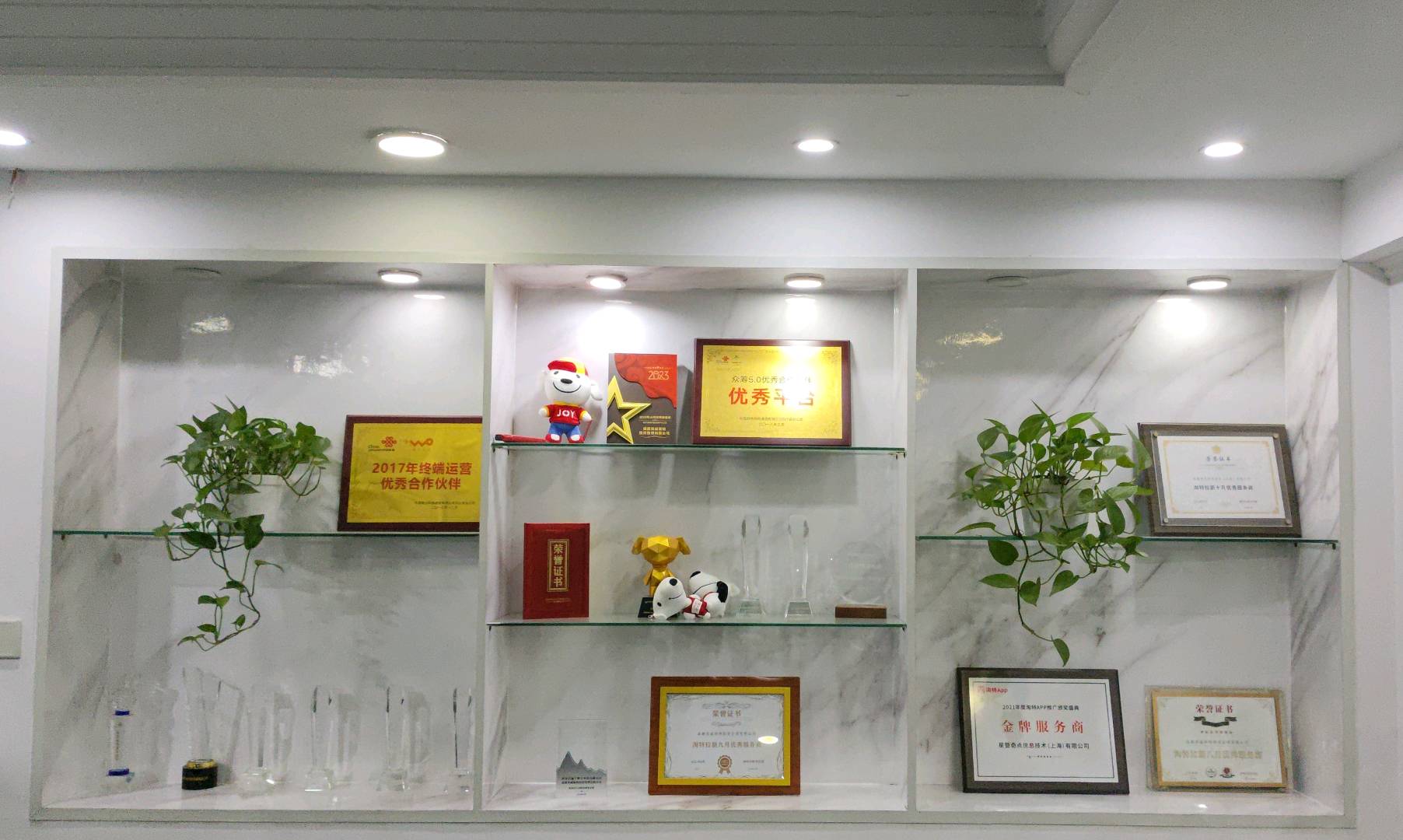 陈女士地推项目蚂蚁阿福收一口价，不限量收
