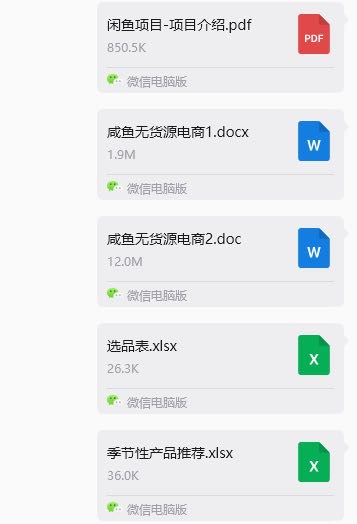 文女士找合伙人咸鱼无货源电商｜零成本副业，每天1小时月入*