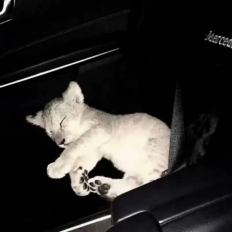 u客直谈实名认证甘先生