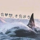 u客直谈张先生