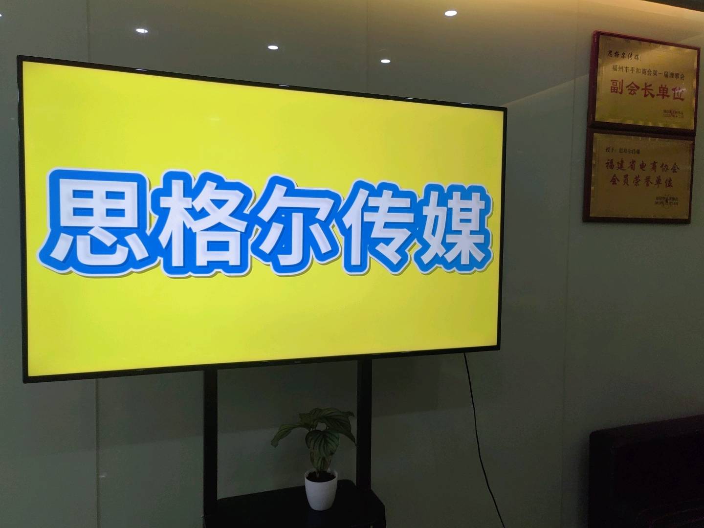 林先生找合伙人快手无人时代直播项目合作，低投入高回报，寻找合作伙伴