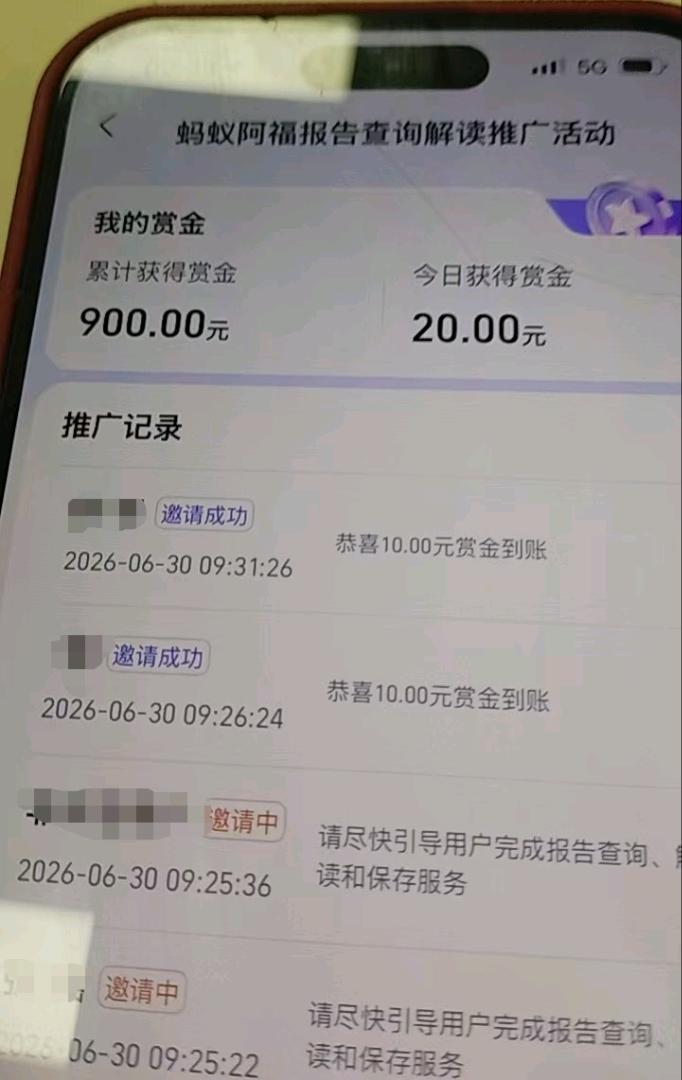 陈先生地推项目蚂蚁阿福下载 报告解读 湖南优先