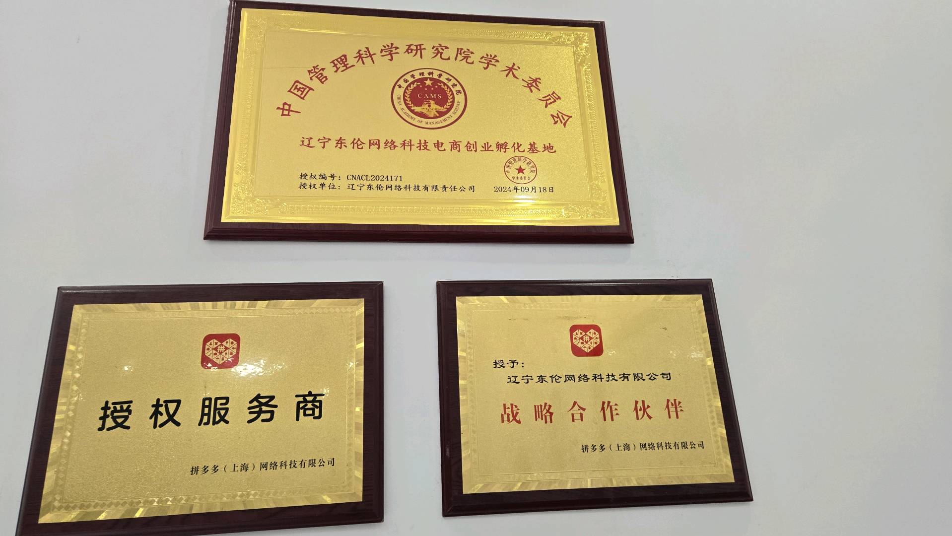 刘正昊找合伙人拼多多店铺矩阵，抖音Ai无人直播项目