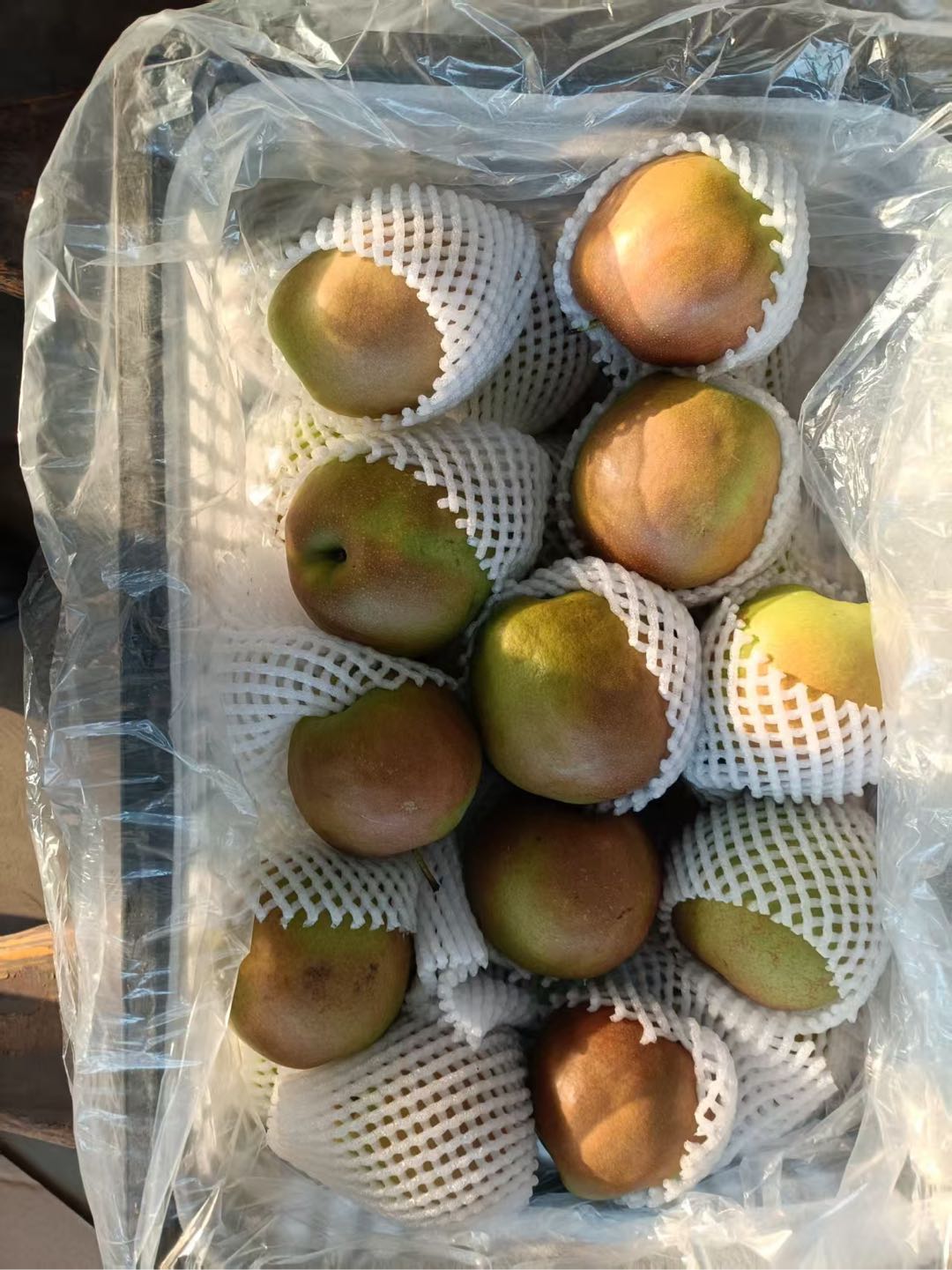 寇佳乐农户水果 采购