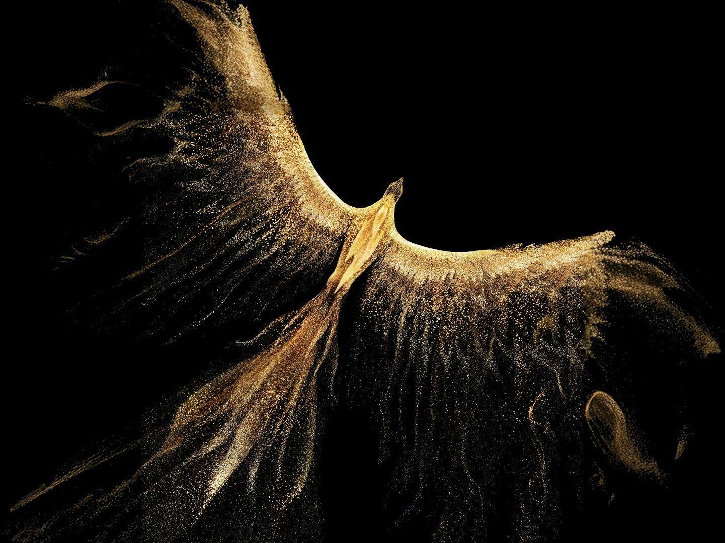 u客直谈实名认证张先生