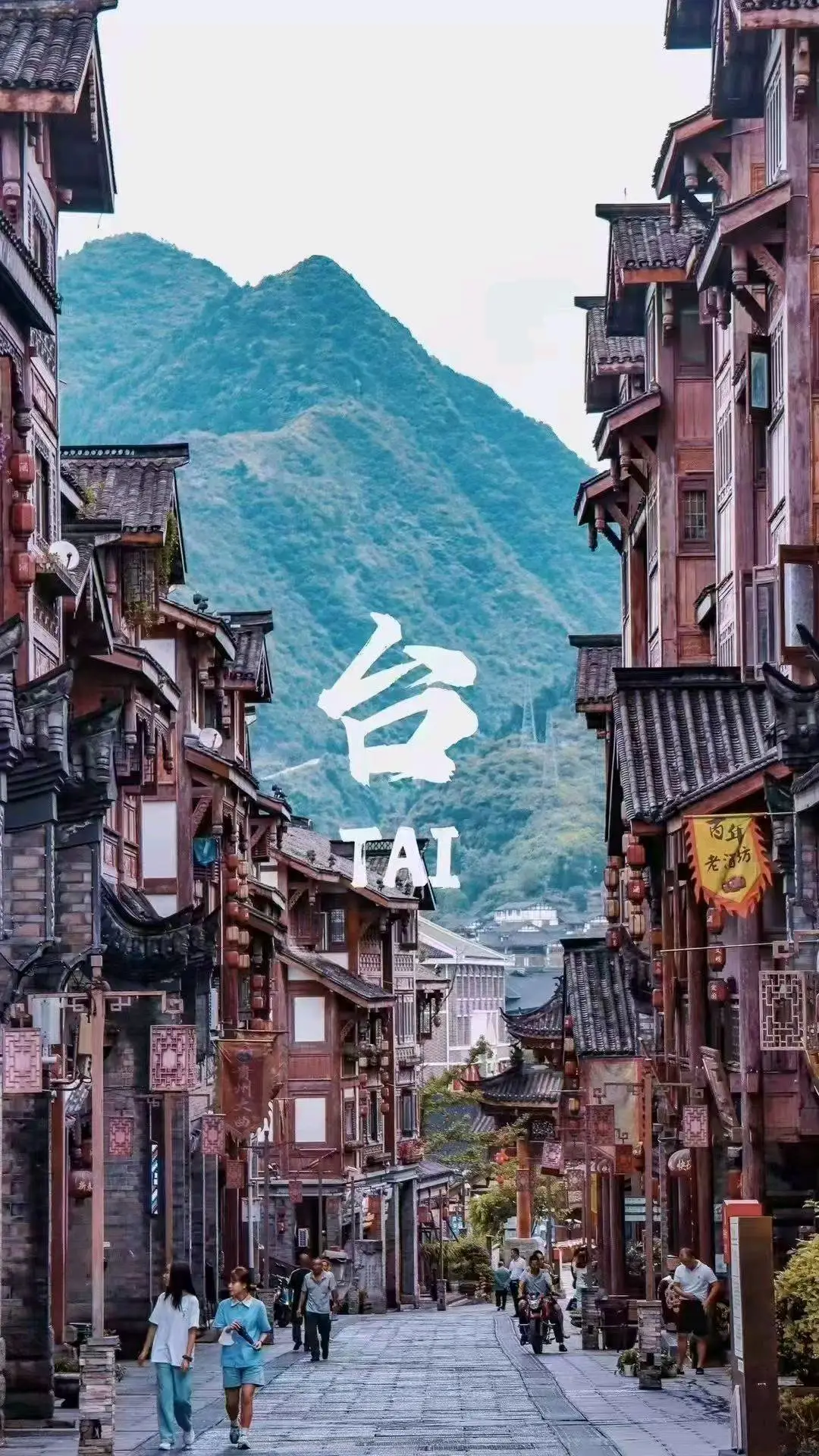 王丽招募合伙人