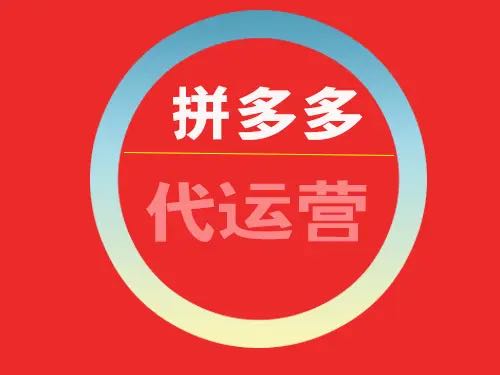 彭国锋其他供需跨境拼多多店铺，合作运营，高佣日结