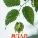 肖国祥