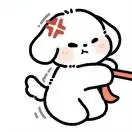 u客直谈实名认证徐美奥