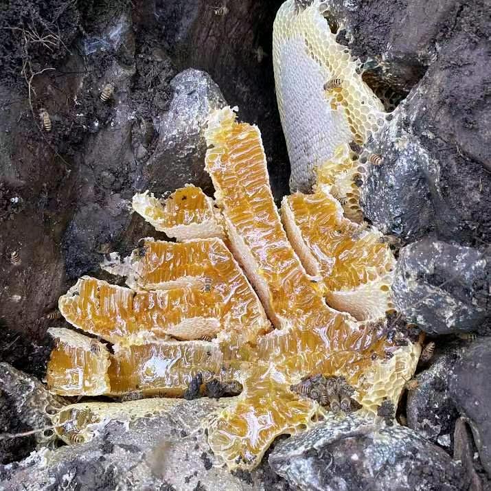 马先生提供大凉山***蜂蜜