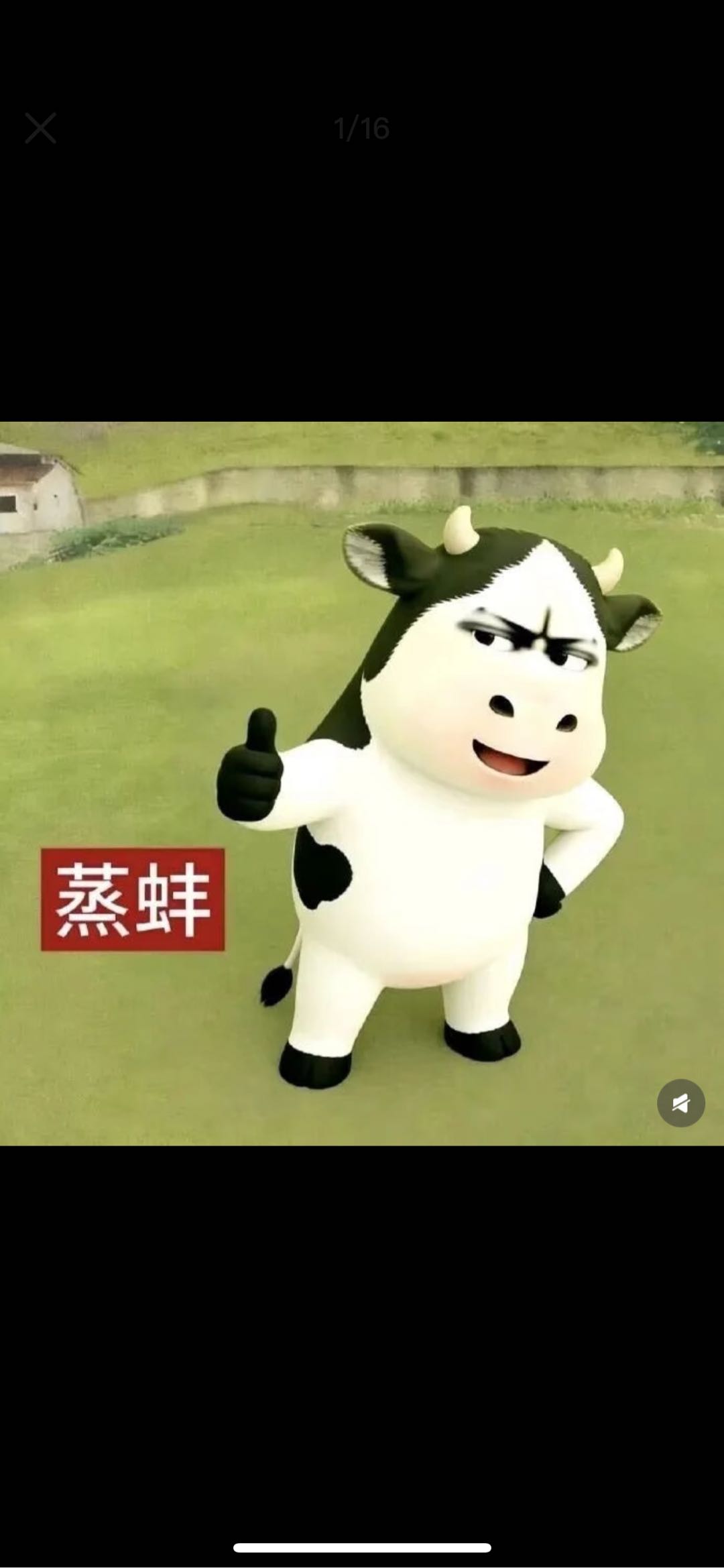 杨琪其他供需代发抖音