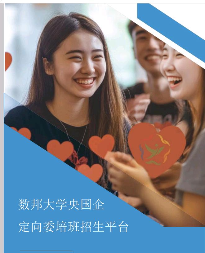 王女士找合伙人0费用成合伙人,无资源免加