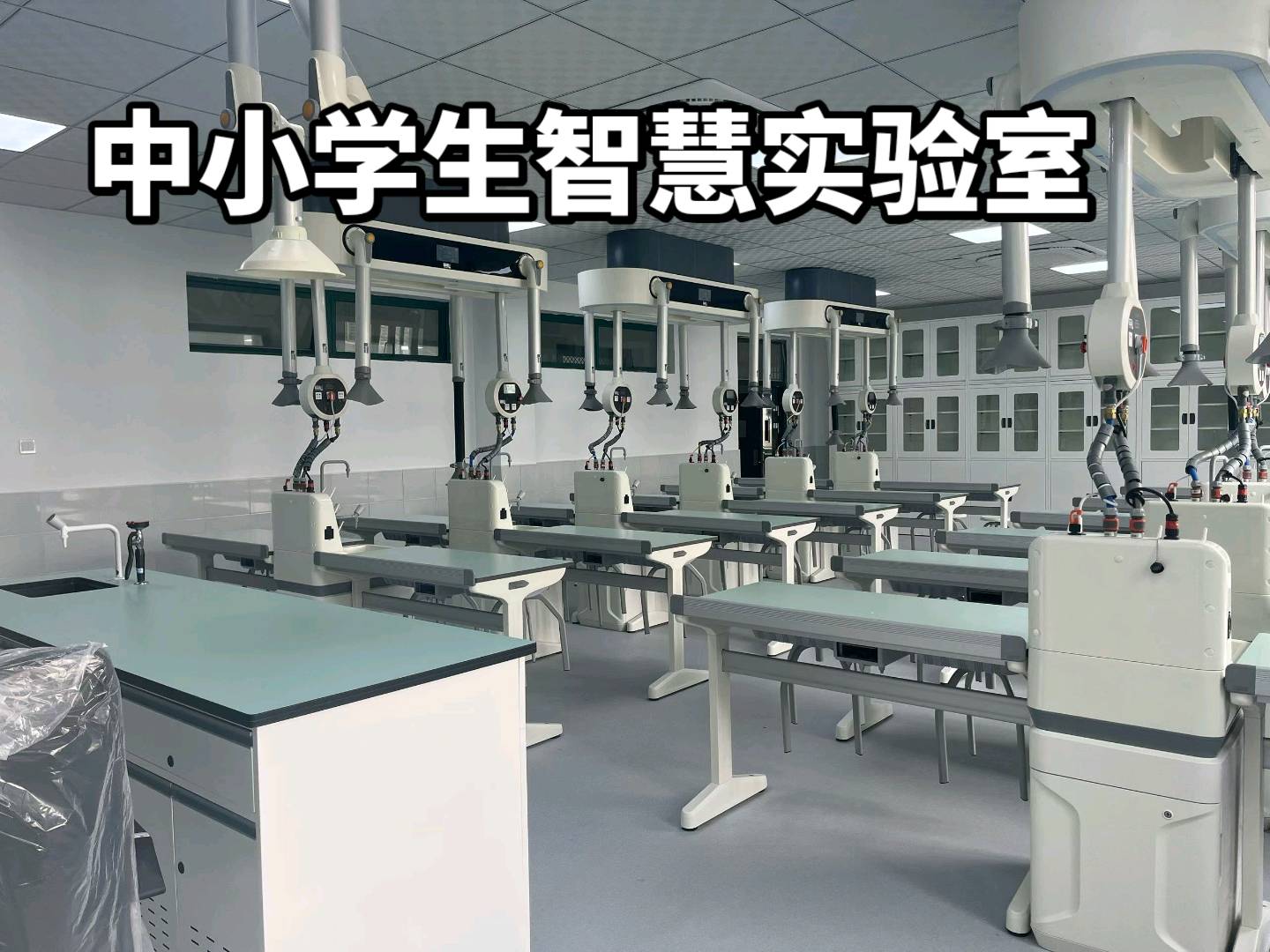 熊芳芳其他供需