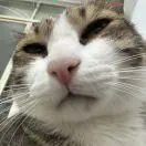 u客直谈实名认证岑绮颖