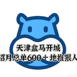 丁枭港