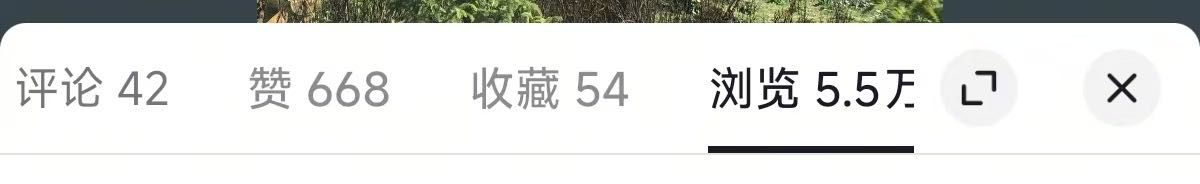 陈衍婷其他供需小说短剧推文，日结，有手机就能做