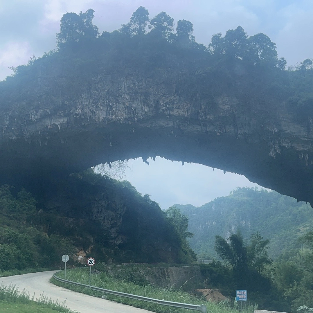 李先生