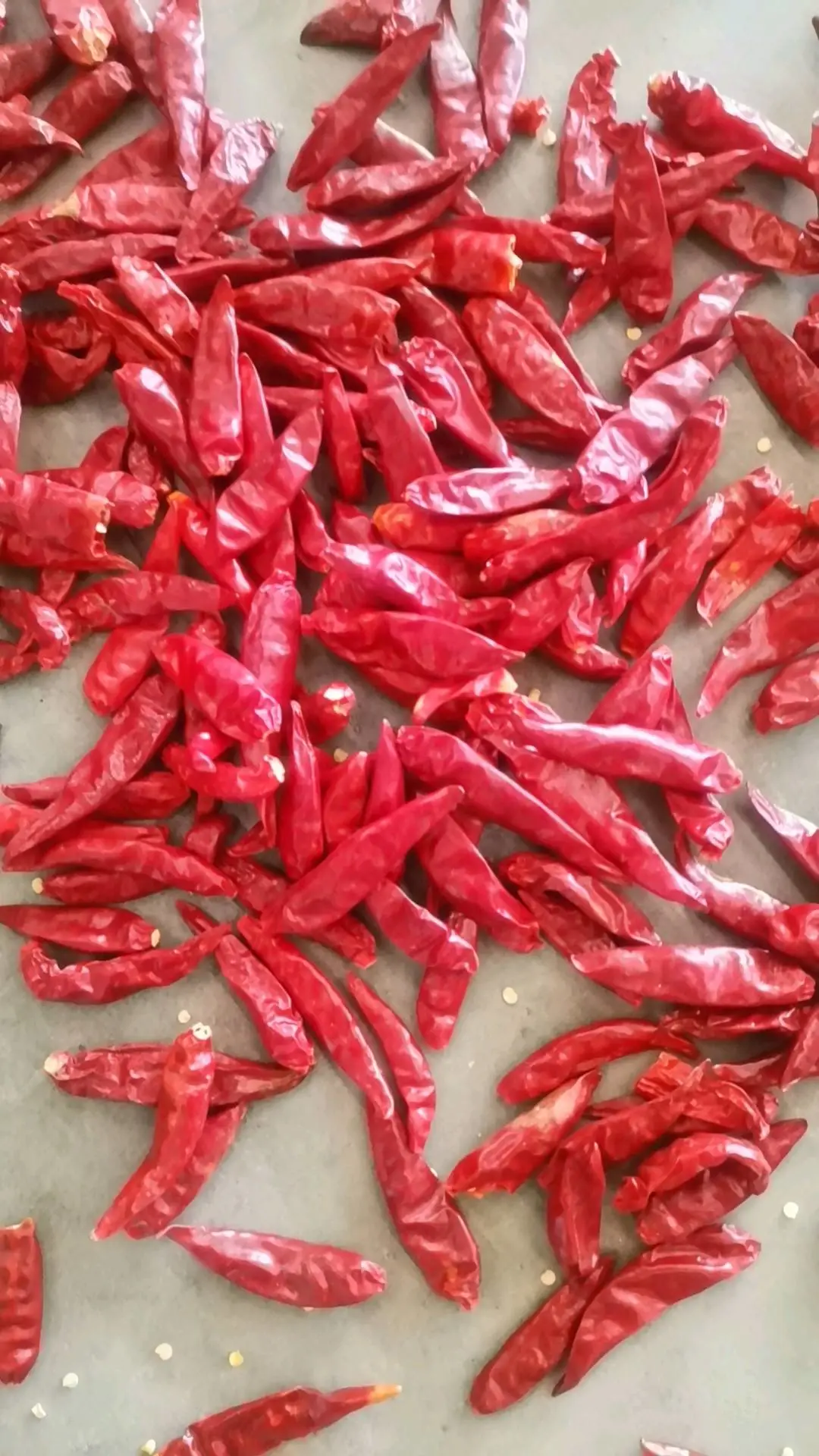 李先生品牌货源提供辣椒资源,寻求辣椒批发商,厂家,电商平台等用户