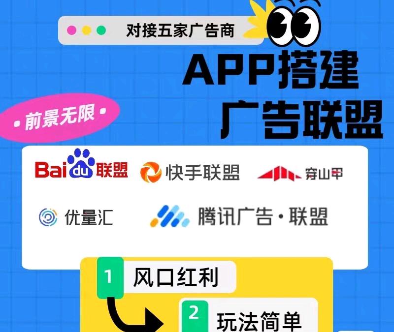 王新磊免费项目，做好了可独立开发app