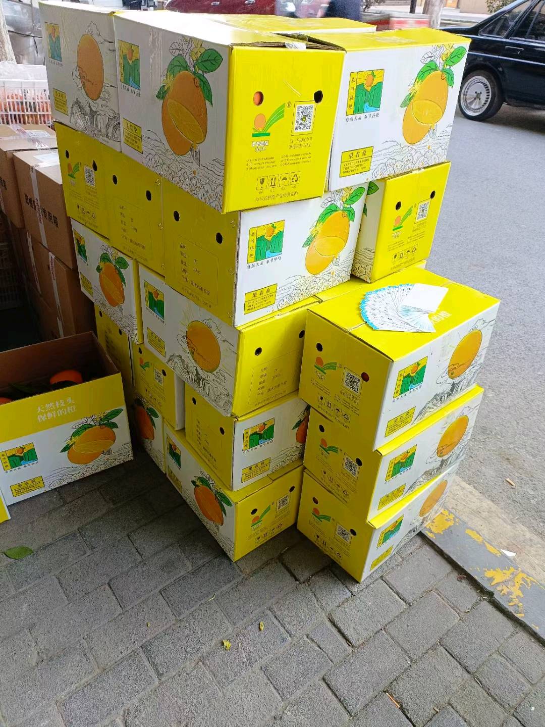 杨先生冬日爆款，奉节脐橙，三峡库区