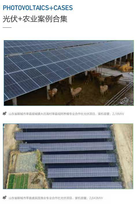 孙先生找合伙人