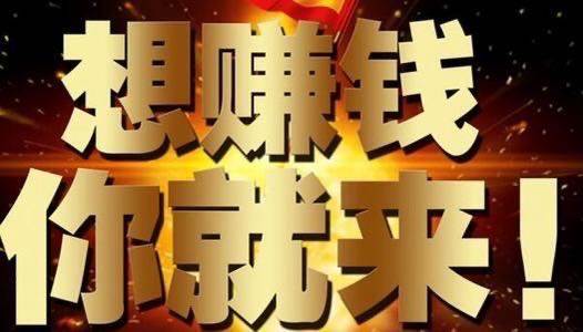 李先生地推项目