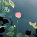 吴森