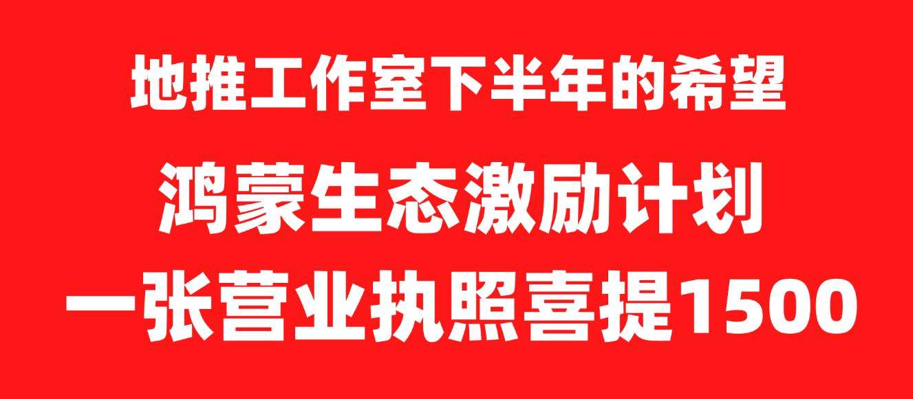 王先生找合伙人