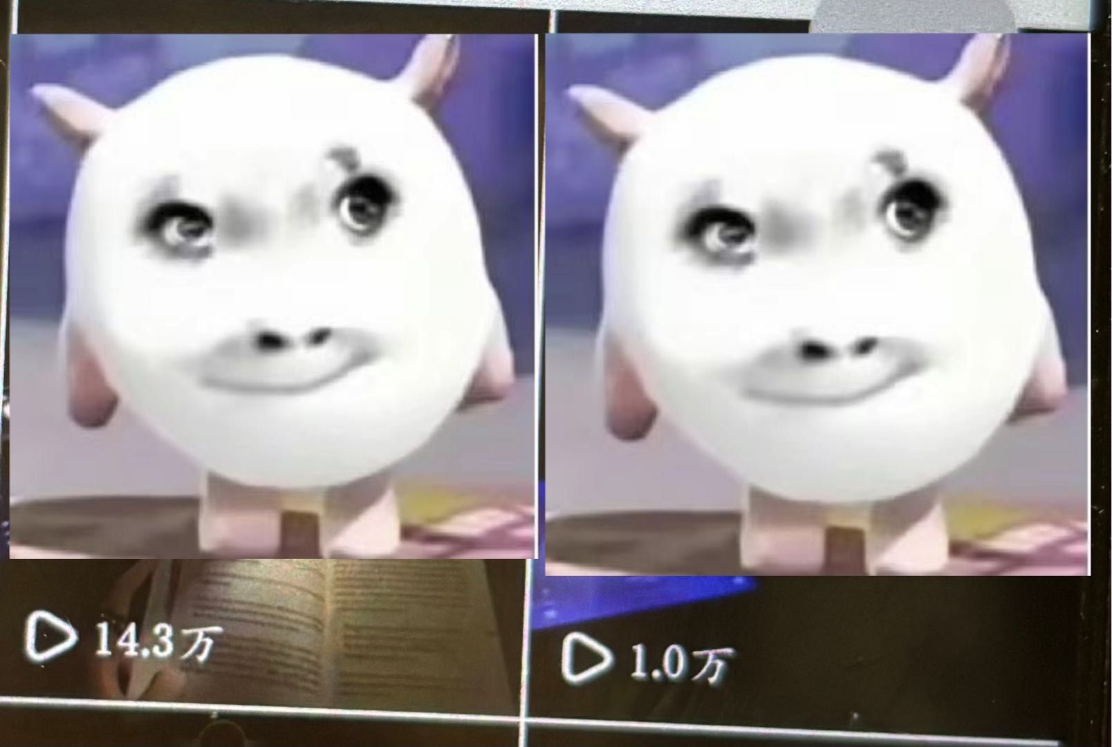 韦女士找合伙人