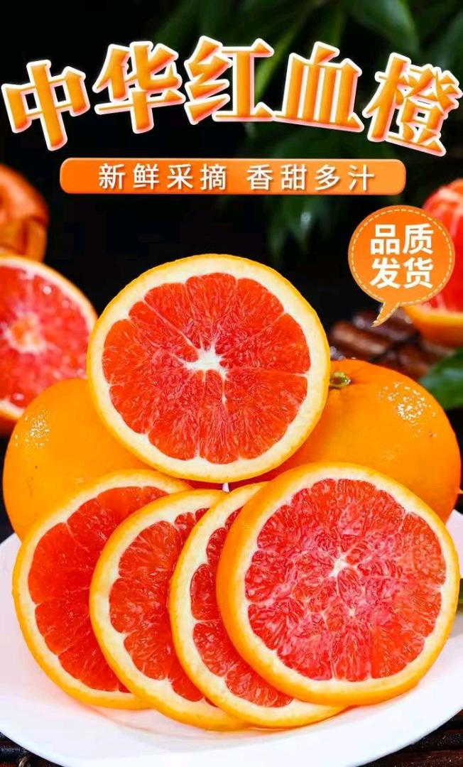 赵先生品牌货源一部手机就能做的水果分销商