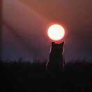 u客直谈实名认证夏云豪