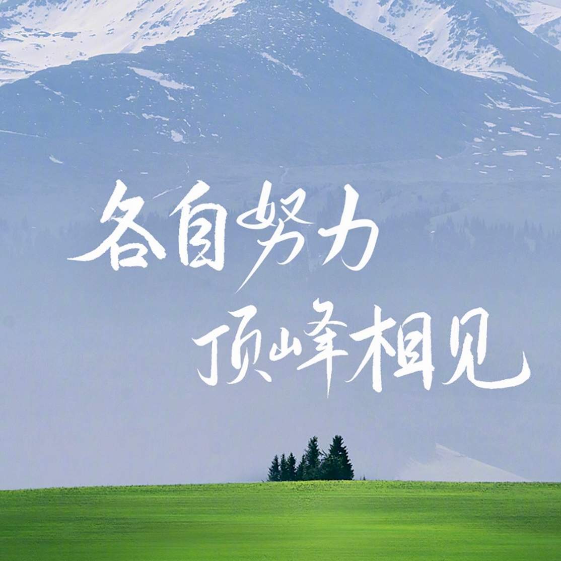 u客直谈实名认证王顺