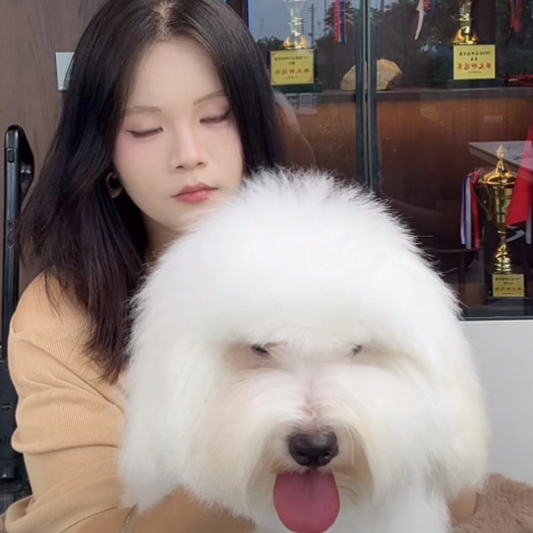苗林