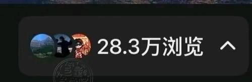 谭女士找合伙人