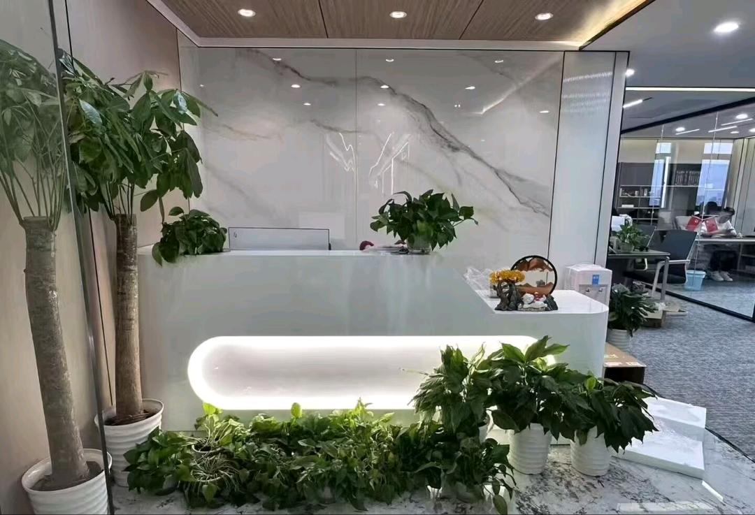 李女士其他供需刷国外短视频，有电脑就可以来做，0门槛0费用，日结