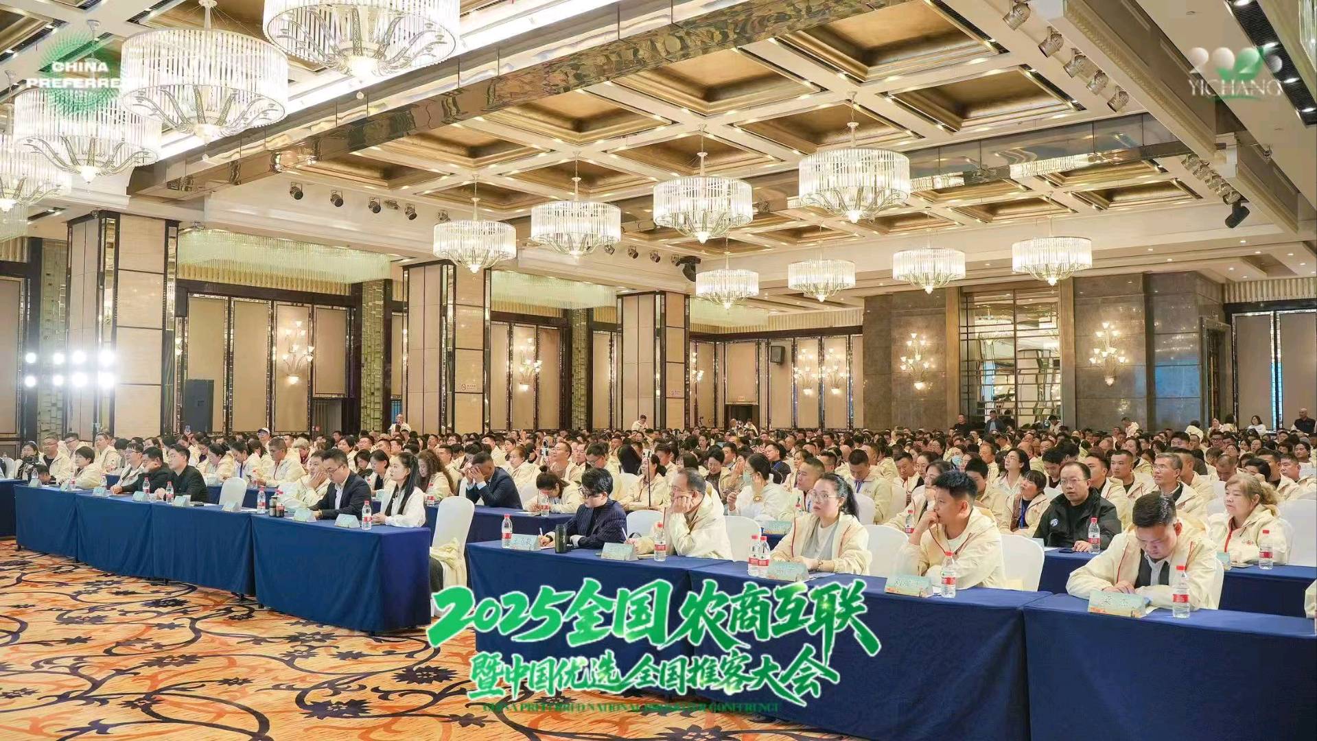 周女士找合伙人