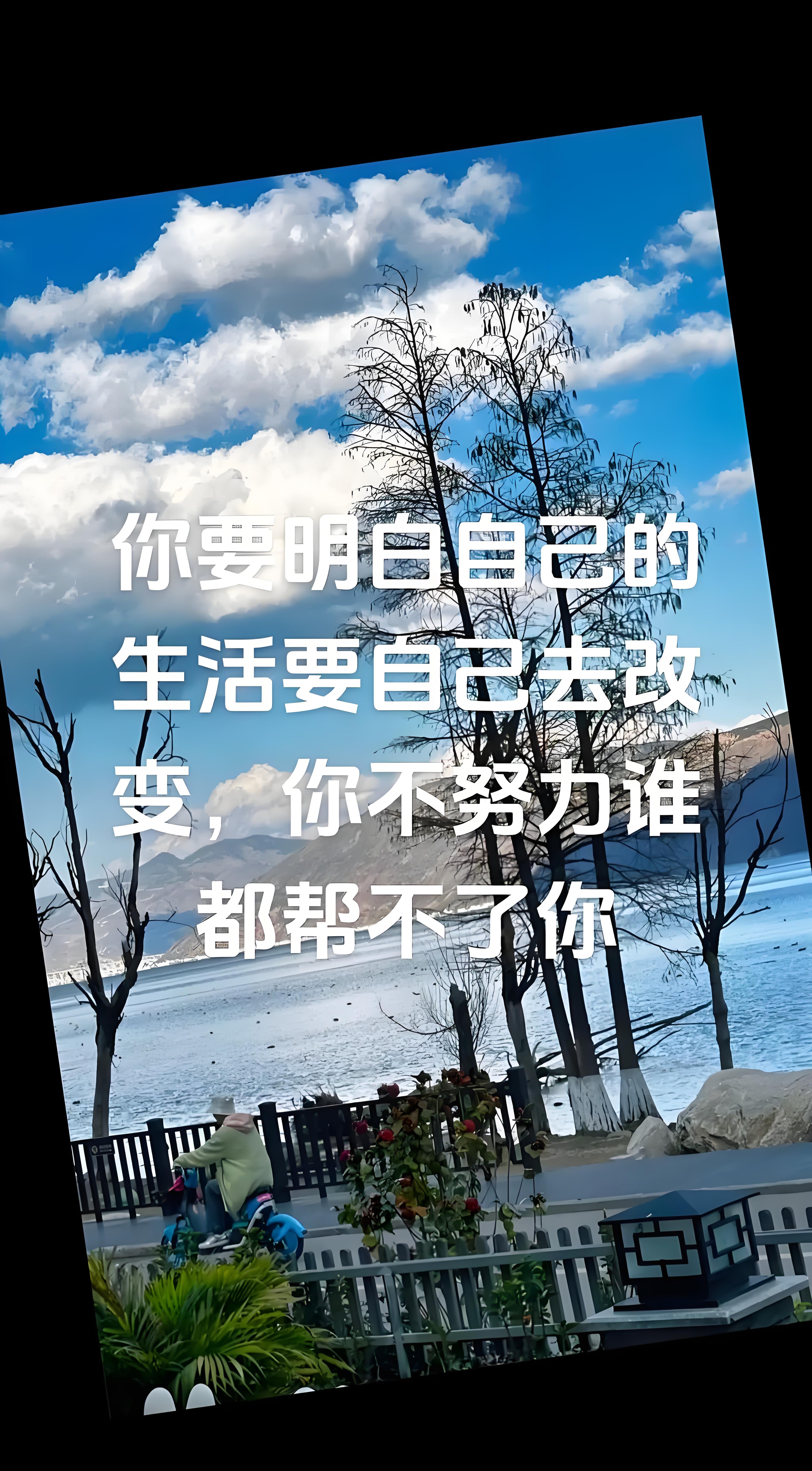 米先生其他供需电商合伙人独立后台日*收益