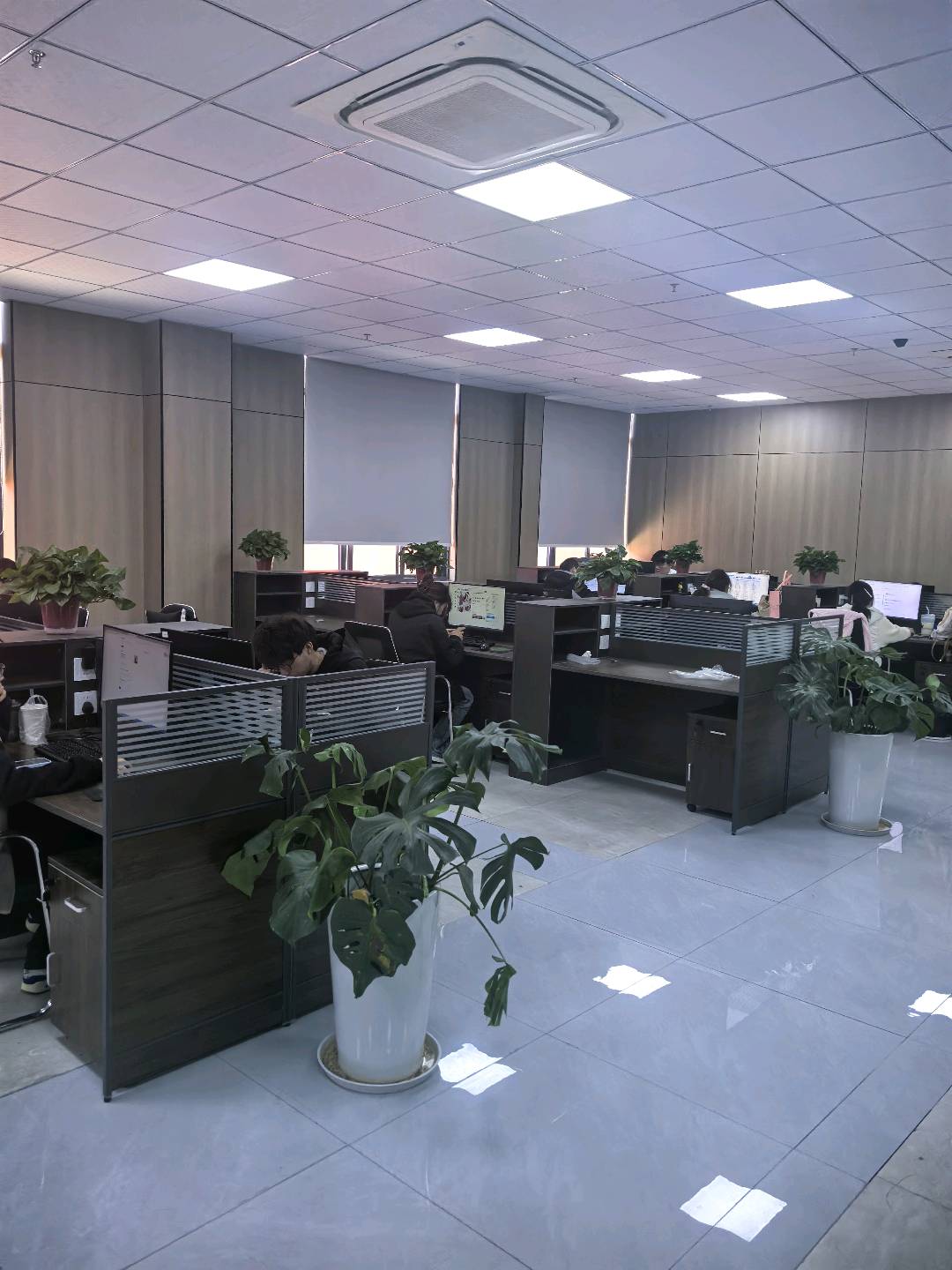 施子强其他供需