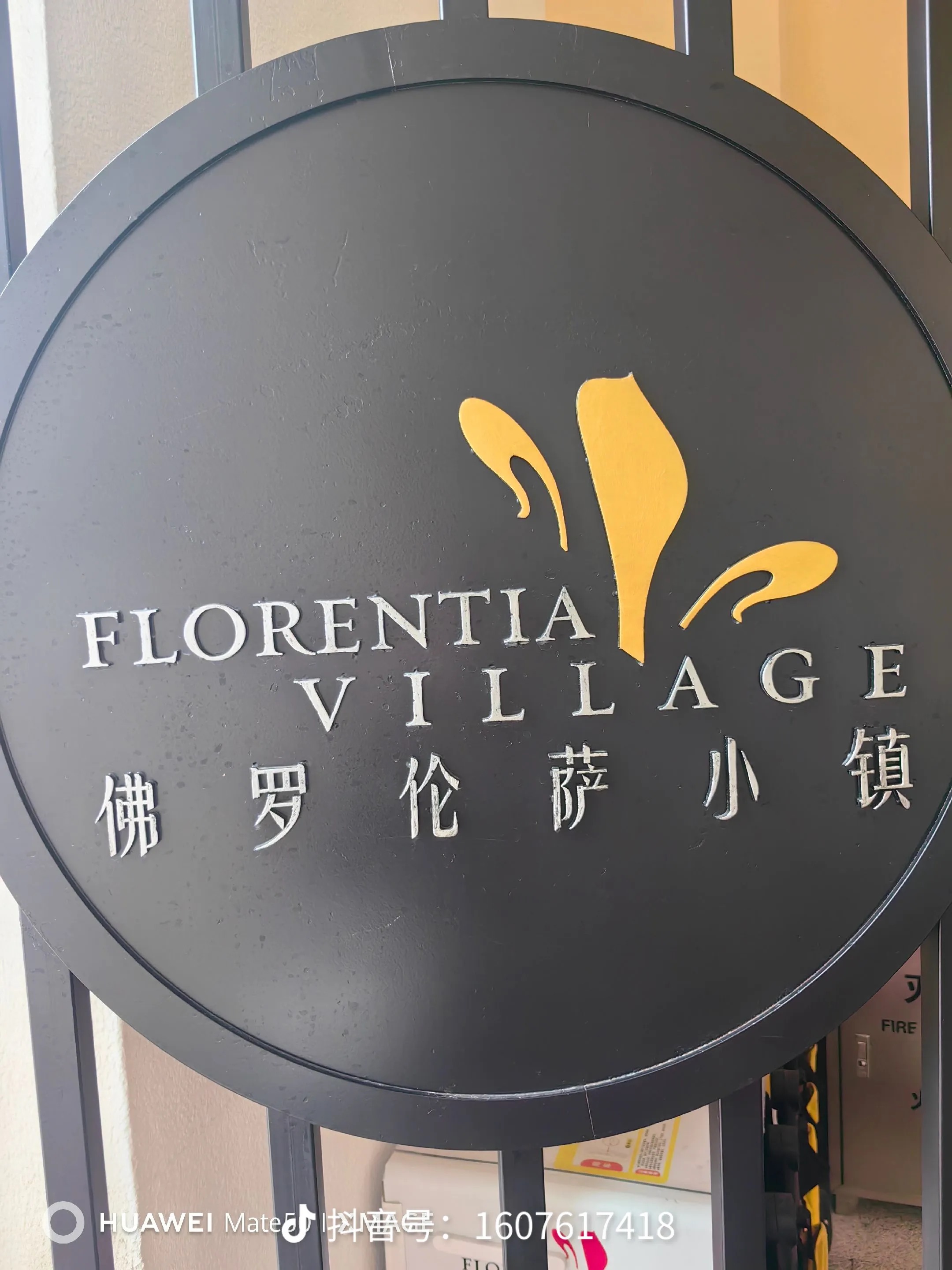 付先生找合伙人天津市武清区佛罗伦萨小镇