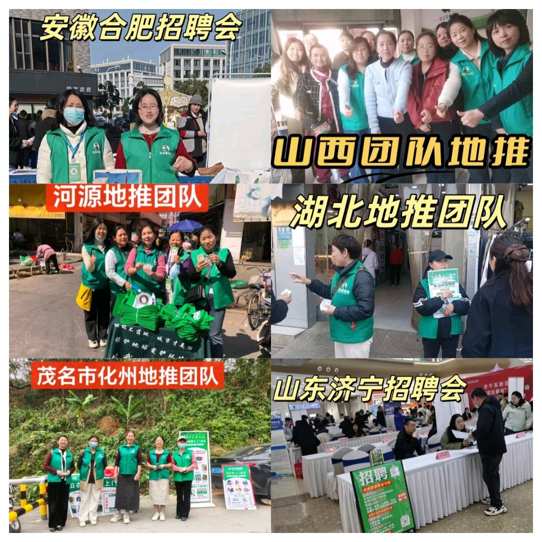 夏林丰地推项目