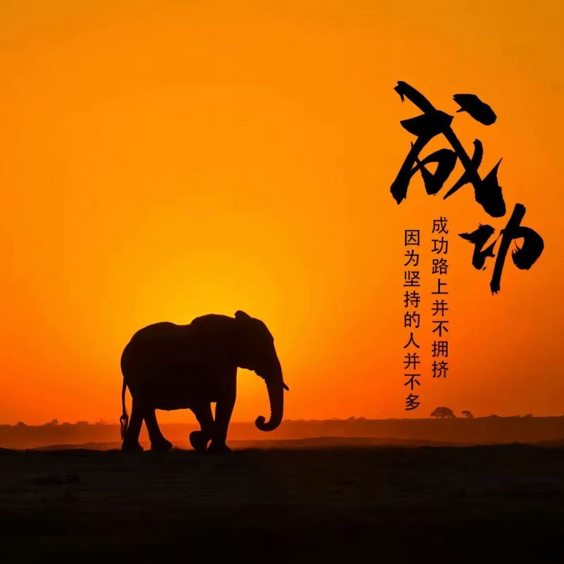 李先生