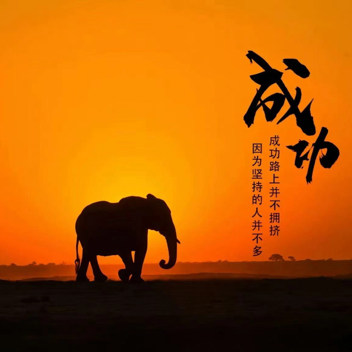 李先生
