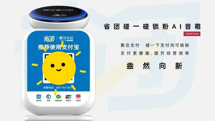 刘先生地推项目带锁粉的支付宝碰加扫音箱，佣金258元/台+长期流水分润+长期粉丝收益